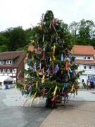 K640BG161JohannisbaumAdlesEck2012-1
