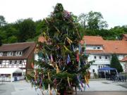 K640BG161JohannisbaumAdlesEck2012