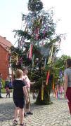 K640BG-752-JohannisF-m-Baum-25062022-1