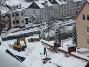 K640BG-046-Baum-gefallt-i-ehem-o-Kurpark-13012025-1155-h
