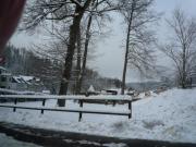 K640BG-040-Baume-im-ehem-oberen-Kurpark-10122025