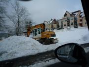 K640BG-042-Baume-i-ehem-oberen-Kurpark-13012025